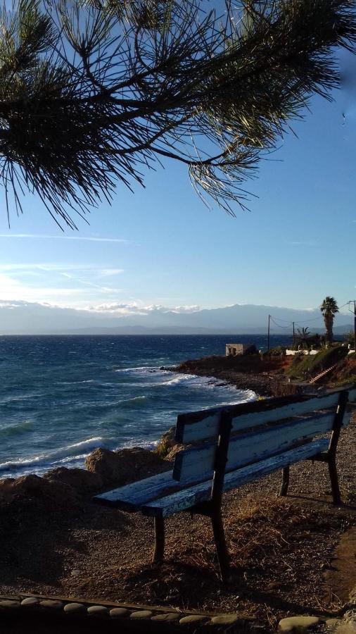 Ammos Luxury Suites Elia  Esterno foto